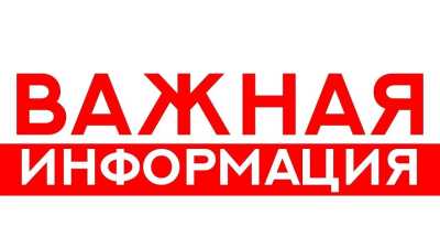 Организация работы ГБУ